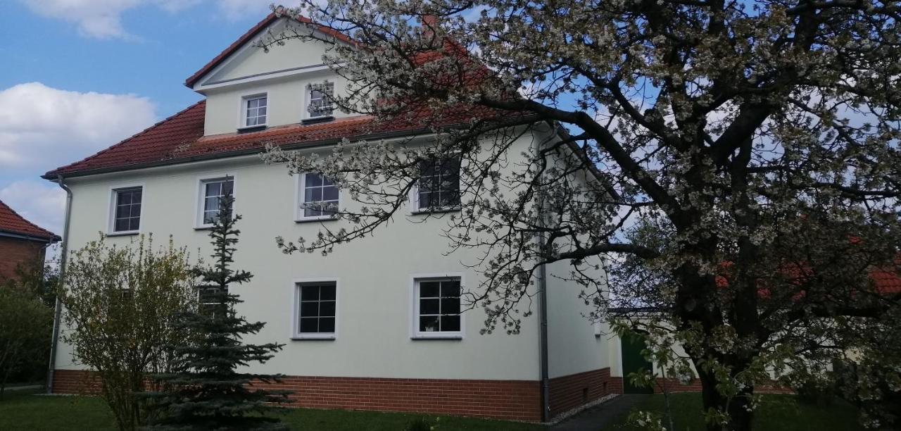 Ferienwohnungen Kleinraeschen Grossraeschen Ngoại thất bức ảnh